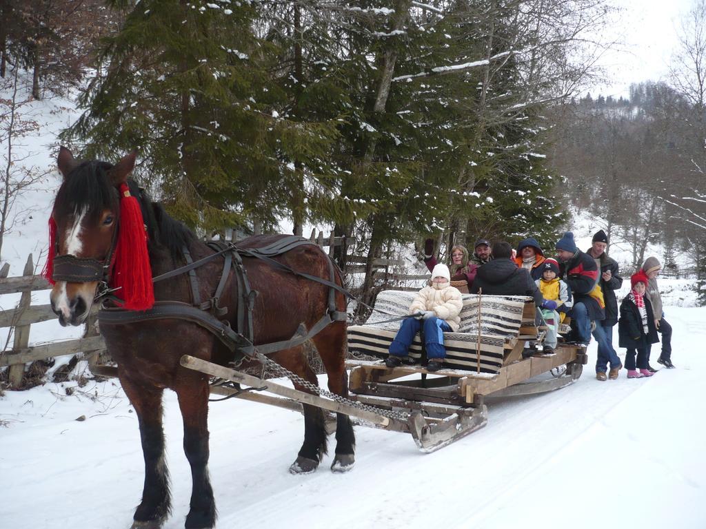Casa Bunicii Din Bucovina Vama (Suceava) Quarto foto