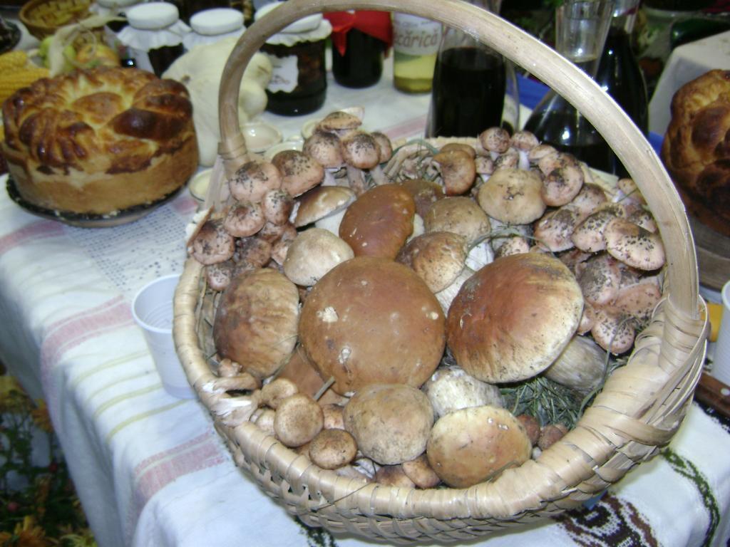Casa Bunicii Din Bucovina Vama (Suceava) Quarto foto