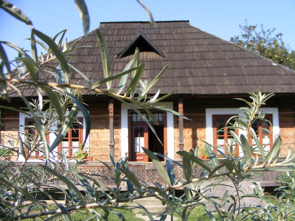 Casa Bunicii Din Bucovina Vama (Suceava) Exterior foto